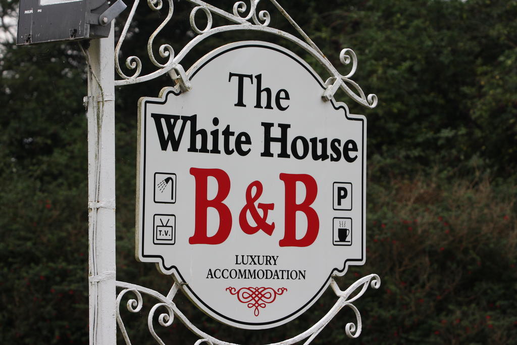 The White House B&B Корк Екстериор снимка